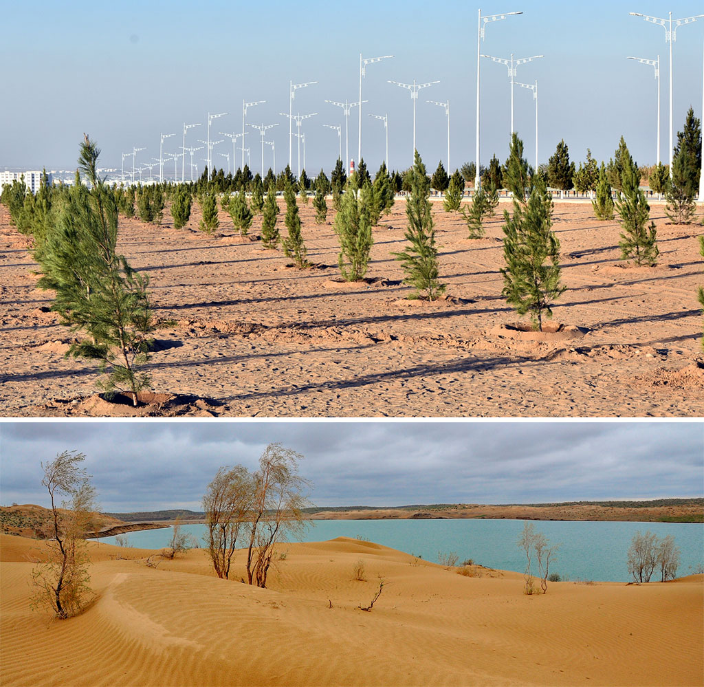 Ekologiýa howpsuzlygy saglygyň we bagtyýarlygyň gözbaşy