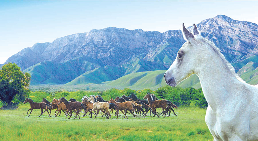 Bedewlerimiz — uçar ganatymyz