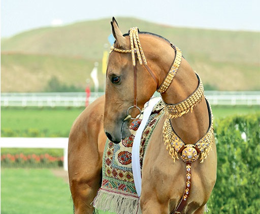 Behişdi bedewlerimiz