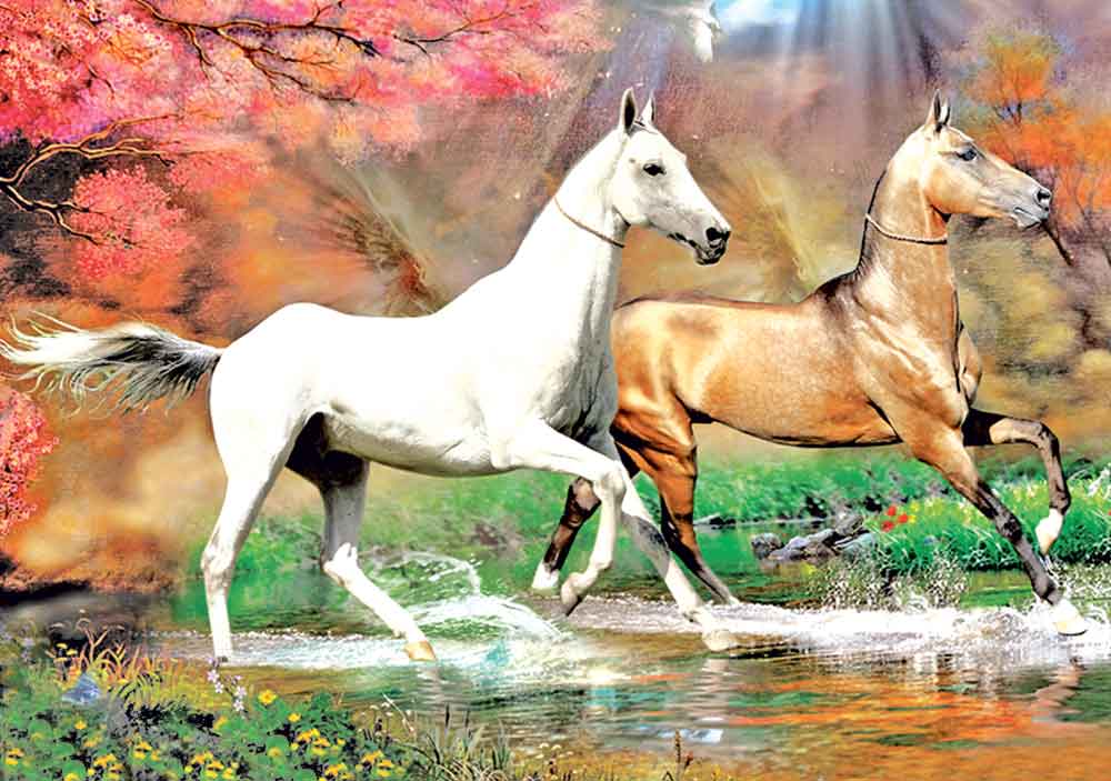 «Aty baryň - ganaty bar»