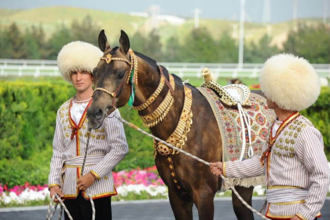 At ýigidiň ganatydyr